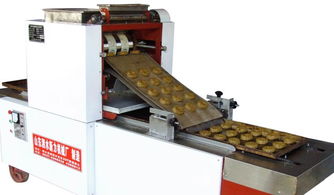 山東泗水新力食品機(jī)械廠