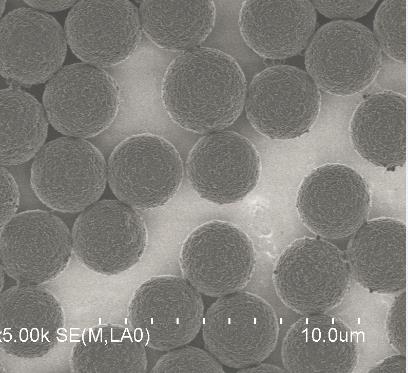 甲苯磺酰基磁珠 供應信息 食品科技網(wǎng)